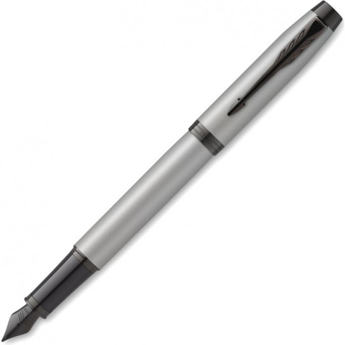 Ручка перьевая PARKER IM ACHROMATIC MATTE GRAY BT 2127619